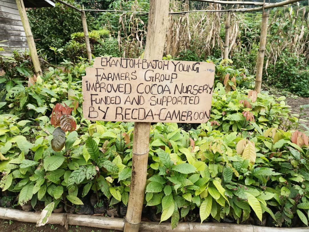  	Rural Farmers 